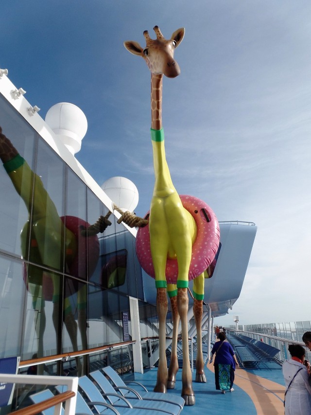 Giraffe on deck